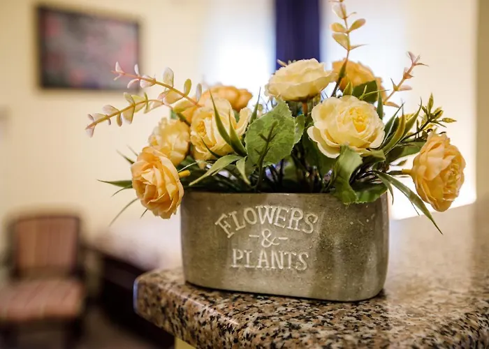 Θέρετρο Modena *